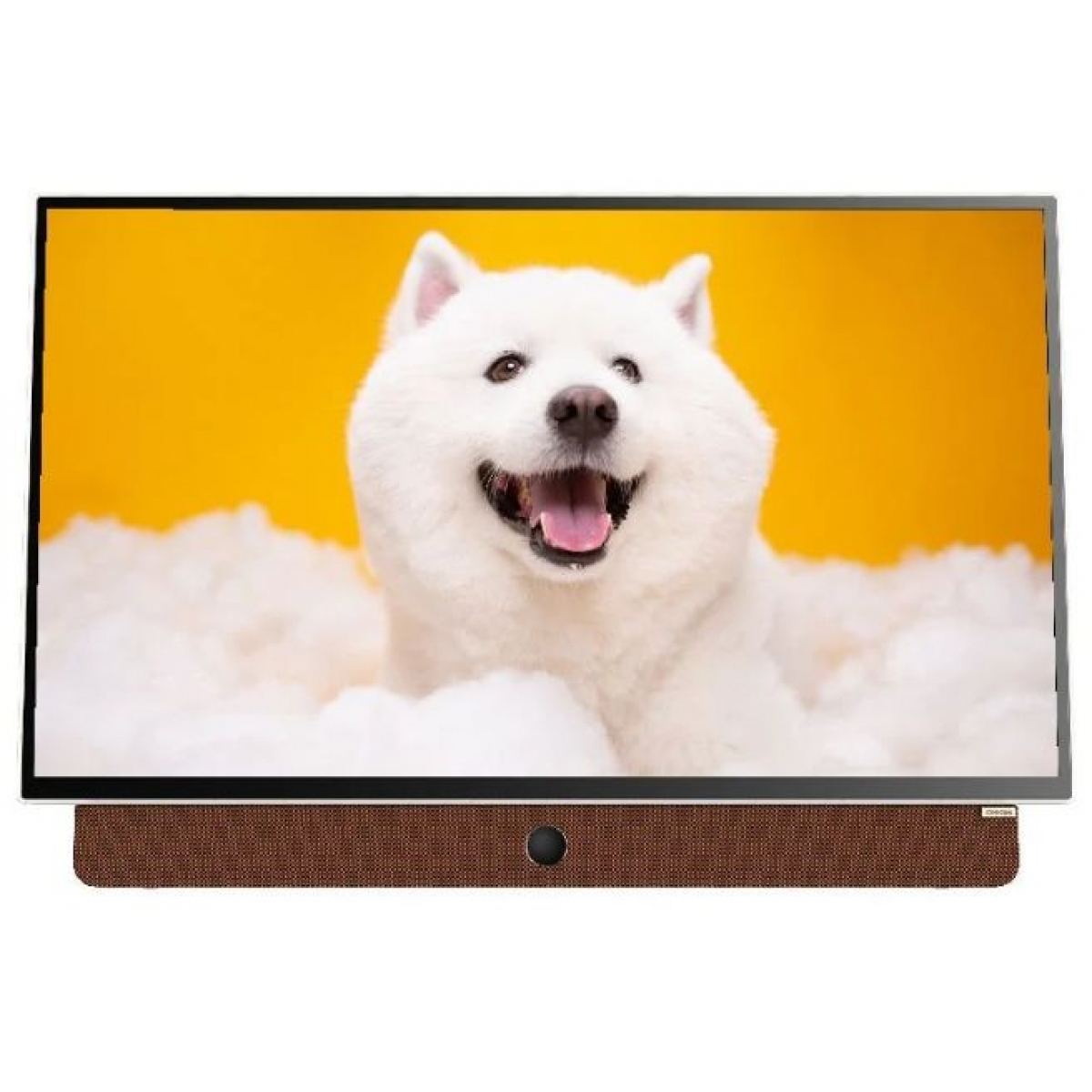 Skyworth 創維 24吋移動式Google顯示屏 (FHD/HDR10/內置多種串流平台)